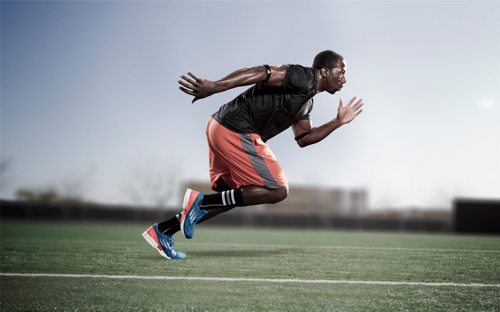 赛道上的城市战争,F1街道赛焦点战,黄蜂血拼公牛